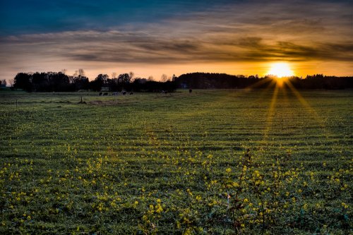 Sonnenuntergang an der Autobahnraststätte