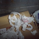 110527pl105203