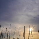 110527pl105297