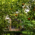 110528pl105370