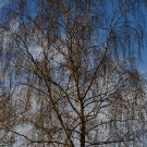 Nikon D7000 Testbild