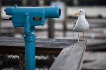 Was guckst Du?
