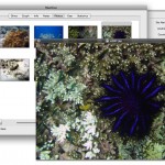 macdive_2