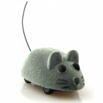 micro-maus