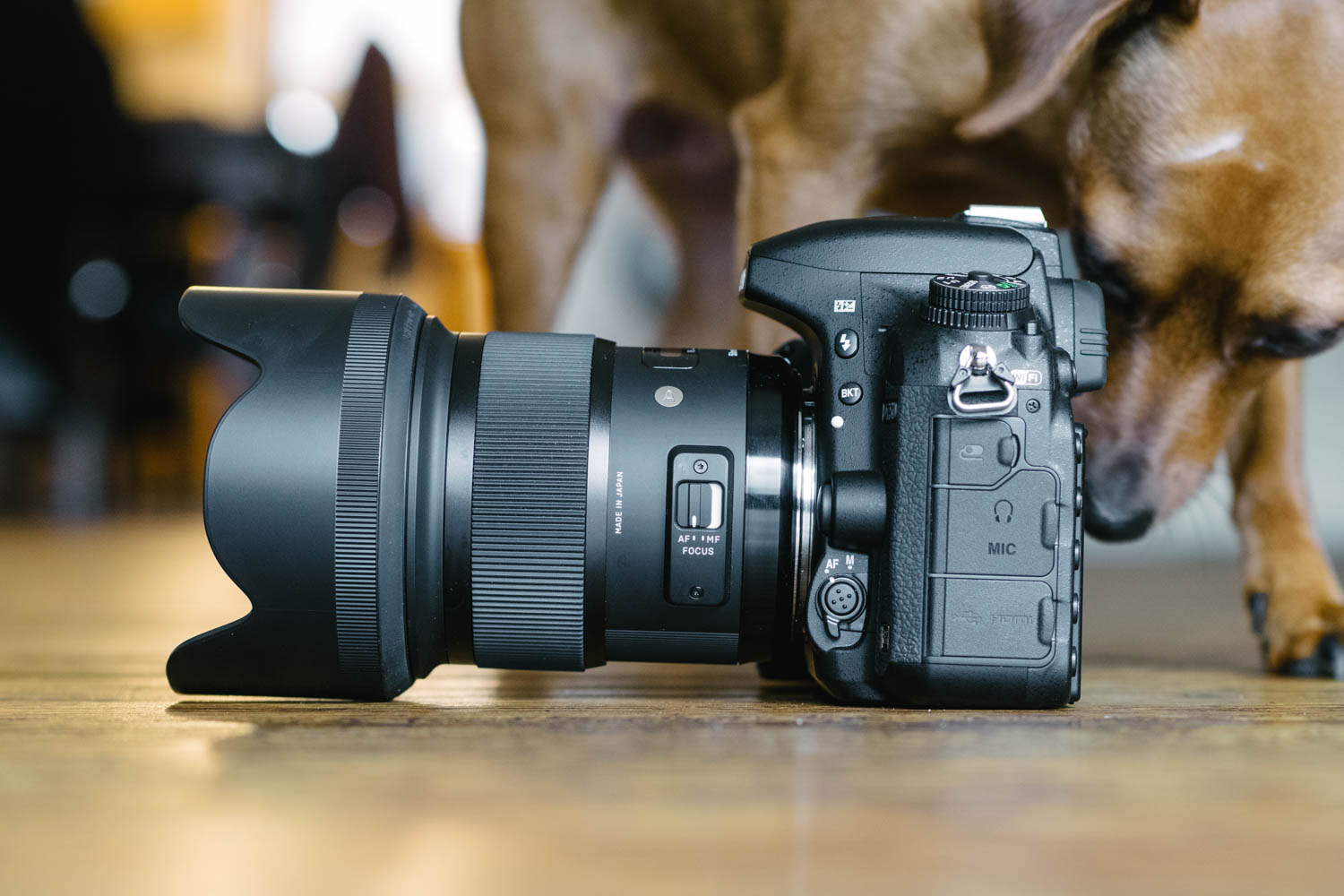 Nikon D750  Sigma 50mm F1.4